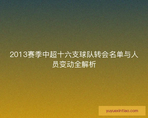 2013赛季中超十六支球队转会名单与人员变动全解析