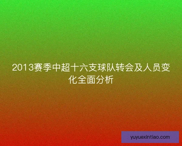 2013赛季中超十六支球队转会及人员变化全面分析