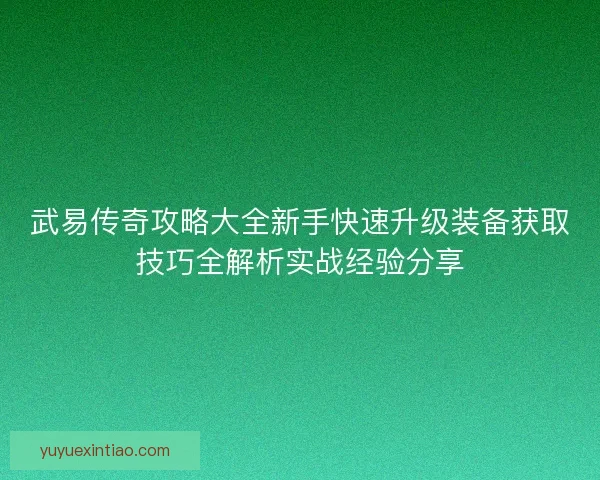 武易传奇攻略大全新手快速升级装备获取技巧全解析实战经验分享